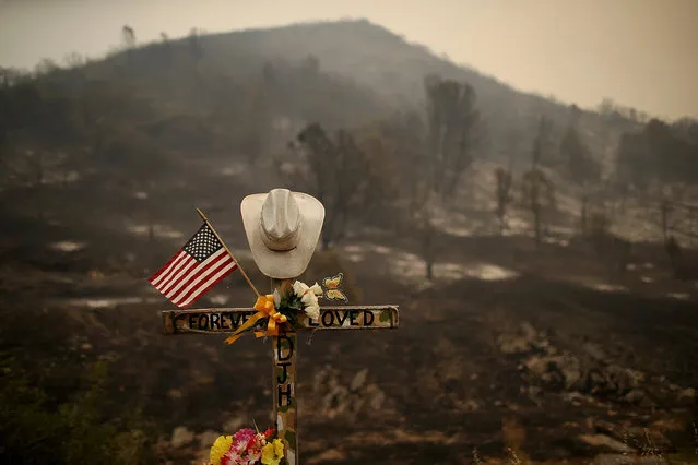 A roadside memorial stands next to an area burned by the Detwiler Fire on July 19, 2017 in Mariposa, California. (Photo by Justin Sullivan/Getty Images)