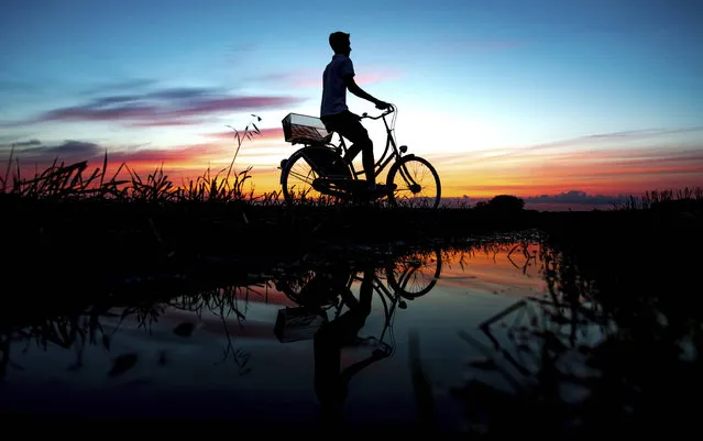 In this photo taken Monday, July 31, 2017 a young man cycling along a path is silhouetted against the sunset in Oldenburg, Germany. (Photo by Hauke-Christian Dittrich/DPA via AP Photo)