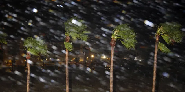 Rain is blown past palm trees as Hurricane Harvey makes landfall, Friday, August 25, 2017, in Corpus Christi, Texas. Harvey intensified into a hurricane Thursday and steered for the Texas coast with the potential for up to 3 feet of rain, 125 mph winds and 12-foot storm surges in what could be the fiercest hurricane to hit the United States in almost a dozen years. (Photo by Eric Gay/AP Photo)