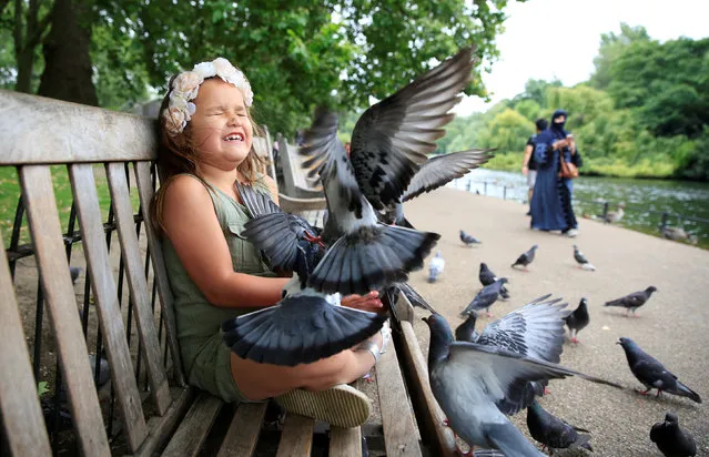Olivia Coyte (7) feeds the pigeons in St James's Park in London, Britain July 20, 2016. (Photo by Paul Hackett/Reuters)