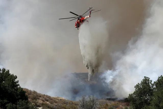 A firefighting helicopter makes a water drop at the so-called Sand Fire in the Angeles National Forest near Los Angeles, California, U.S. July 24, 2016. (Photo by Jonathan Alcorn/Reuters)