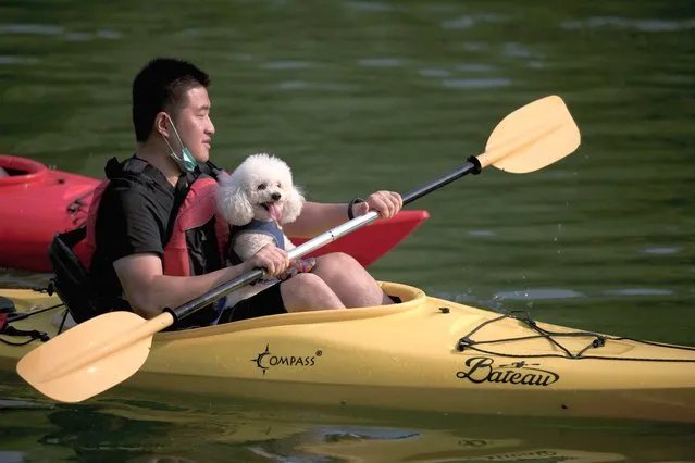 A man kayaks with a dog along a river in Beijing on September 11, 2022. (Photo by Noel Celis/AFP Photo)