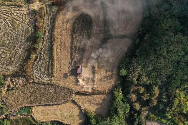 This aerial photo taken on October 20, 2022 shows a farmer operating a tractor to prepare the harvested paddy fields for rapeseed sowing in Shangban Village of Luoting Township in Nanchang City, east China's Jiangxi Province. (Photo by Xinhua News Agency/Rex Features/Shutterstock)