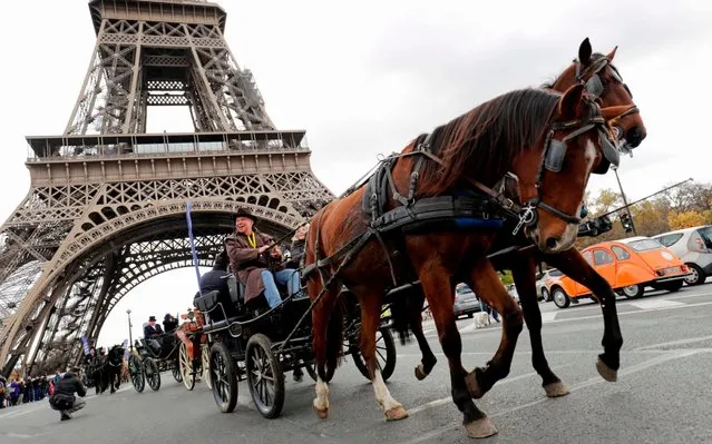 A man drives a carriage during the 20 th edition of a parade of horses throughout the streets of Paris leading up to the 2017 Paris Horse Salon, on November 19, 2017 at the Eiffel Tower in Paris. The 2017 Paris Horse Salon will take place from November 24 to November 26 at the Paris Nord Villepinte Exhibition Centre. (Photo by Thomas Samson/AFP Photo)