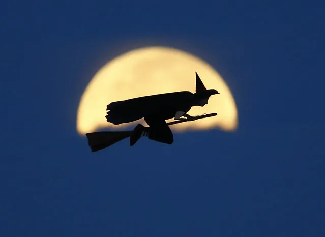 A radio-controlled flying witch makes a test flight past a moon setting into clouds along the pacific ocean in Carlsbad, California October 8, 2014. (Photo by Mike Blake/Reuters)