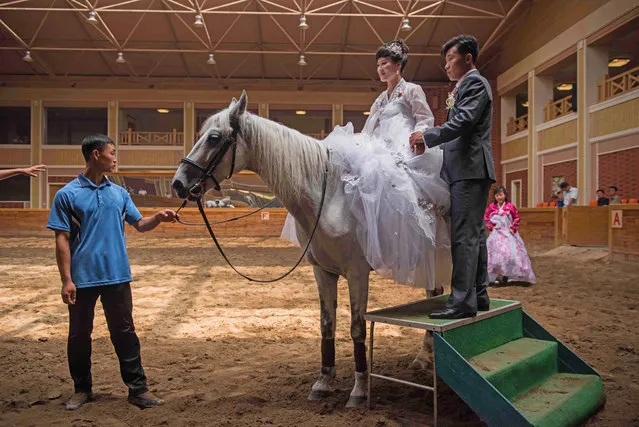 A bride and groom pose for photos with a horse at the Mirim riding school on the outskirts of Pyongyang, North Korea on July 12, 2016. (Photo by Ed Jones/AFP Photo)