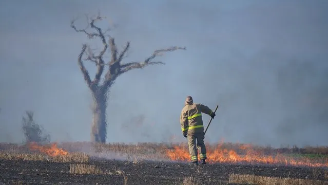 A firefighter tackles a blaze in a Co Down field made famous by the music star Rihanna on Wednesday, August 31, 2022. (Photo by Niall Carson/PA Images via Getty Images)