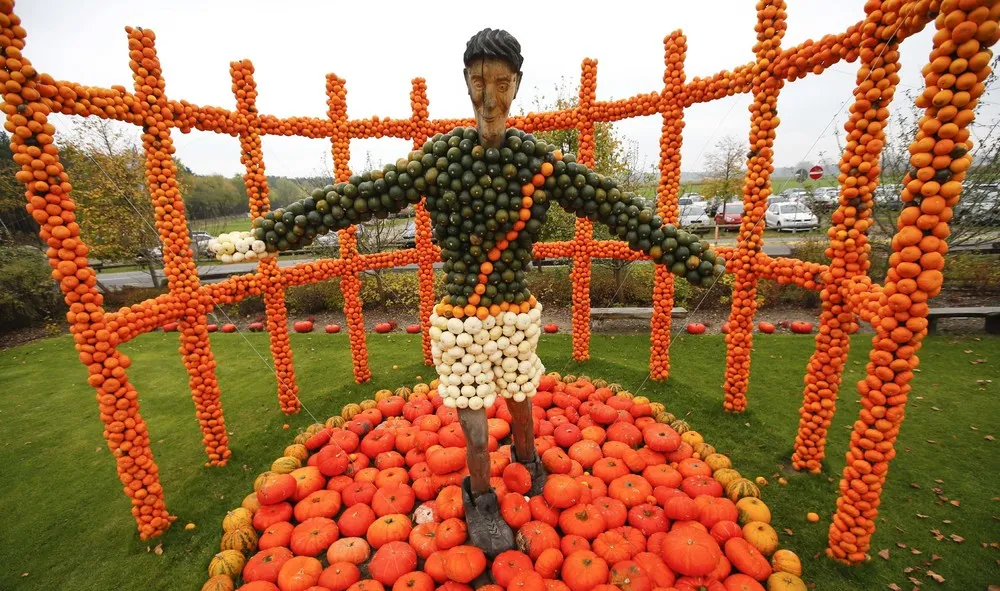 The Week in Pictures: October 24 – November 1, 2014. Part 1/5