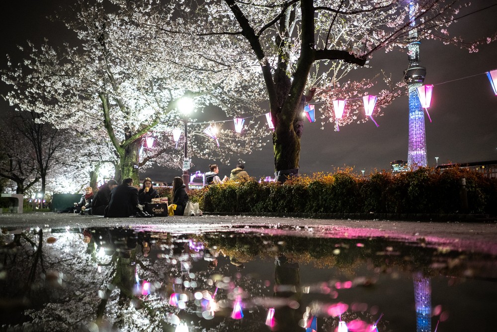 Some Photos: Reflection