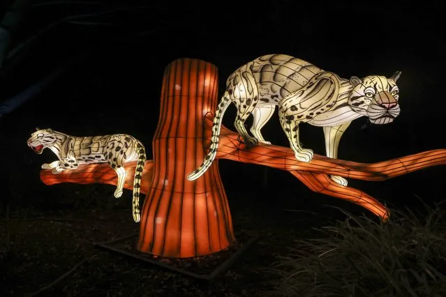 The annual Zoo Lights decorations are displayed at the Smithsonianâs National Zoological Park in Washington D.C., United States on December 11, 2022. (Photo by Celal Gunes/Anadolu Agency via Getty Images)