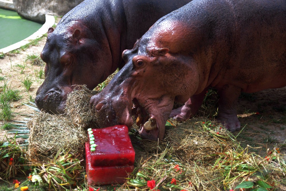 Pictures of the Year 2024, Part 047/240