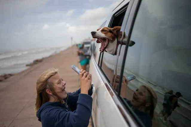 Galveston resident Charlotte, 12, photographs her two-year-old beagle Sunny who reacts to high wind ahead of Hurricane Laura in Galveston, Texas, U.S., August 26, 2020. (Photo by Adrees Latif/Reuters)