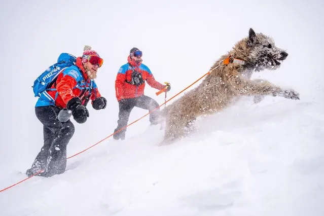 International Avalanche and Canine Course of Mountain Services in the Giant Mountains, Czech Republic on January 10, 2023. (Photo by David Tanecek/CTK Photo/Alamy Live News)