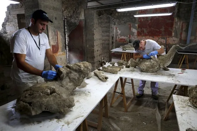 Restorers work to piece together fragments of bodies that have come away from plaster cast moulds of the victims of the Mount Vesuvius eruption in A.D. 79, which buried Pompeii, October 13, 2015. (Photo by Alessandro Bianchi/Reuters)