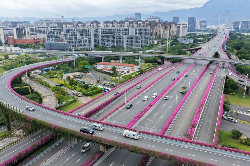 A Look at Life in China