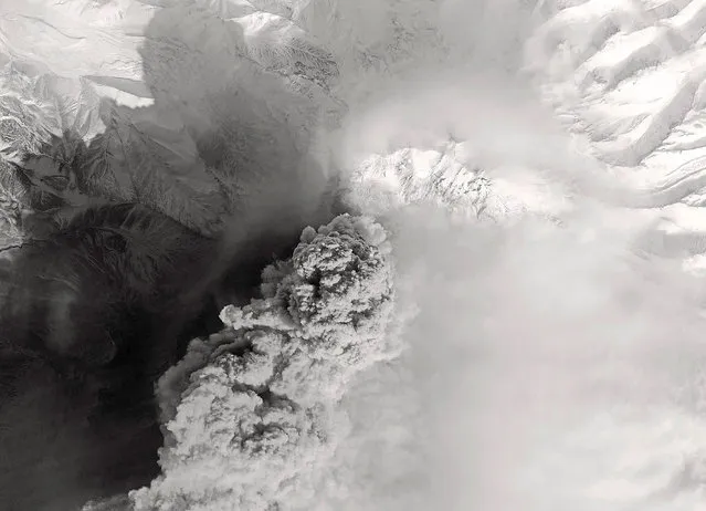 A satellite image shows the erupting Shiveluch volcano on the Russia's Kamchatka peninsula, on April 12, 2023. (Photo by Roscosmos/Handout via Reuters)