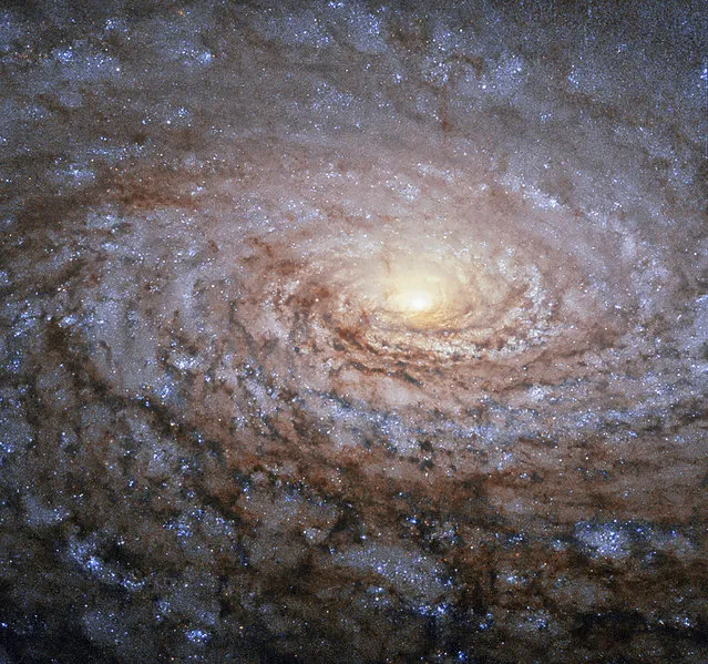 The galaxy Messier 63 - nicknamed the Sunflower Galaxy - in an image taken by the Hubble Space Telescope. Discovered by Pierre Mechain in 1779, the galaxy is about 27 million light-years away and belongs to the M51 Group. Image released September 11, 2015. (Photo by Reuters/NASA/ESA/Hubble)
