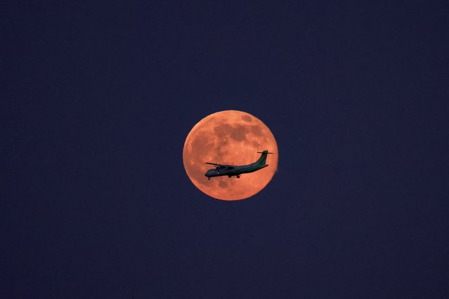 A Binter company's plane crosses the supermoon known as the “Hunter's Moon”, in Aguimes on the island of Gran Canaria, Spain, on November 5, 2025. (Photo by Borja Suarez/Reuters)