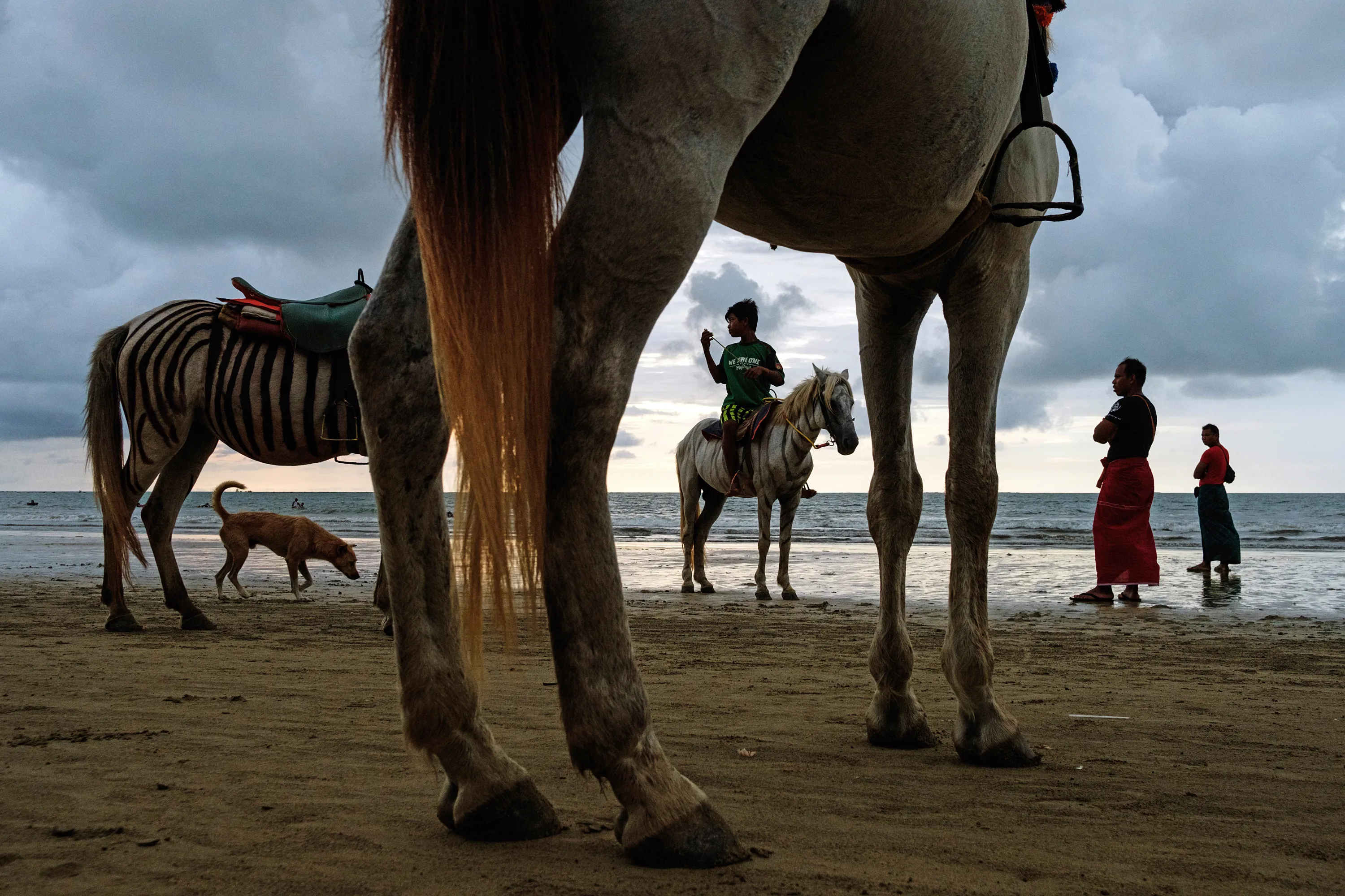 Лучше фото 2019. Победители фотоконкурса National Geographic. Победители фотоконкурса National Geographic 2020. Победители конкурса National Geographic 2018. Конкурс National Geographic.