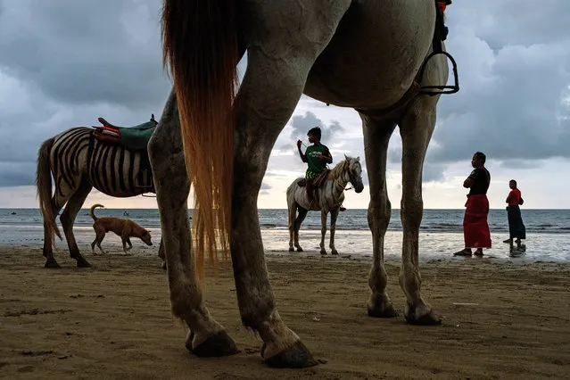 Blow-up unicorns, a pig on a pulley and chickens on the lam populate the polychrome pictures in this year’s LensCulture street photography awards. Here: Beach Scene, Chaung Tha, Myanmar, by Maciej Dakowicz. First place, single image category. (Photo by Maciej Dakowicz/LensCulture 2018 Street Photography Awards)