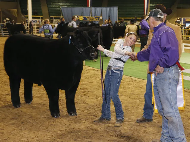 Triniti Scott, center, of Burlington, Colo., is congratulated by Scott Schaake of Westmoreland, Kan., right, after the 11-year-old girl's 1,360-pound steer named Playboy Bunny was selected as the reserve grand champion market beef at the 109th annual National Western Stock Show and Rodeo Thursday, January 22, 2015, in Denver. Stockgrowers from across the country and Canada are taking part in the National Western, which is one of the largest livestock exhibitions staged in North America. (Photo by David Zalubowski/AP Photo)