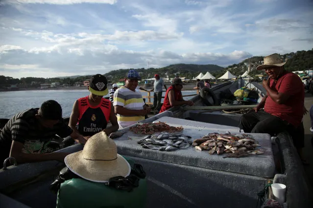 Fishermen sell their products at La Pazon beach after a tsunami warning was lifted following a 7.0 magnitude undersea earthquake off the Pacific Coast of Central America, in La Libertad, El Salvador, November 24, 2016. (Photo by Victor Pena/Reuters)
