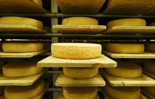 Raclette cheeses made by Swiss cheesemaker Seiler Kaeserei AG mature in storage racks in a former ammunition bunker of the Swiss Army in the town of Giswil, Switzerland October 27, 2015. (Photo by Arnd Wiegmann/Reuters)