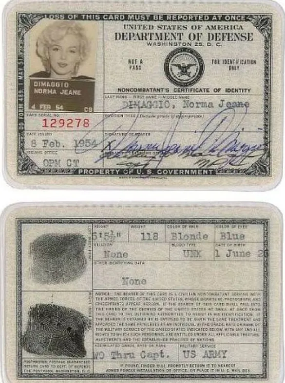 Passport Photos of Iconic Figures in History