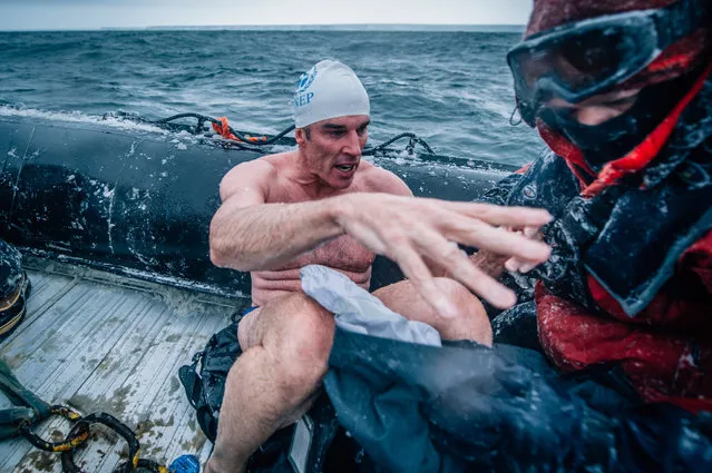 In this February 19, 2015 photo, provided by 5 Swims Expedition, Lewis Pugh, of the United Kingdom, is helped onto a support boat in the Ross Sea in Antarctica. (Photo by Kelvin Trautman/AP Photo)
