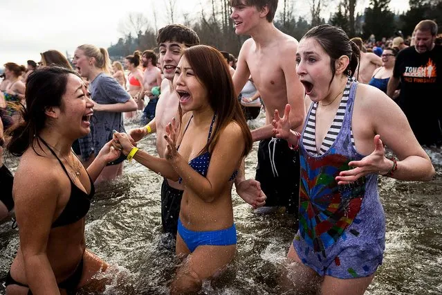 Girls react to the frigid waters of Pontiac Bay during the 12th Annual Polar Bear Plunge at Matthews Beach Park in Seattle. About 300 people participated in the first Polar Bear Plunge in 2003; since then, attendance has reached nearly 1,000 attendees. (Photo by Jordan Stead/Seattlepi.com)