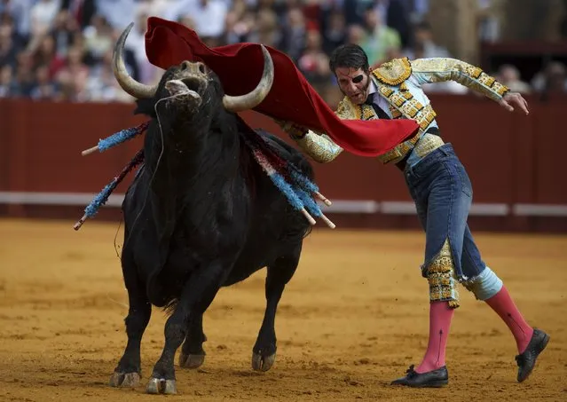 Spanish matador Juan Jose Padilla performs a pass to a bull during a bullfight at The Maestranza bullring in the Andalusian capital of Seville, southern Spain April 25, 2015. (Photo by Marcelo del Pozo/Reuters)