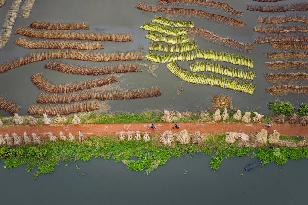 Environmental Photographer of the Year 2021