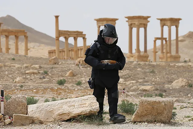 A handout picture taken on April 7, 2016 and obtained from the Russian Defence Ministry's official website on April 8, 2016, reportedly shows a Russian army sapper working in the ancient Syrian city of Palmyra. (Photo by AFP Photo/Russian Defence Ministry)