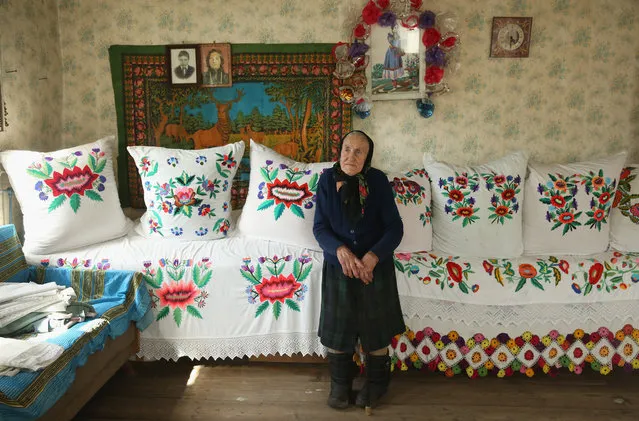 Yelyena Muzichenka, 86, stands among examples of her own embroidery at her house on April 6, 2016 in Bartolomeyevka, Belarus. Yelyena is one of four residents still living in Bartolomeyevka, a former village located in southeastern Belarus that in 1986, following the nuclear meltdown of reactor number four at the Chernobyl nuclear power plant located approximately 170km to the south, was contaminated with radioactive fallout. (Photo by Sean Gallup/Getty Images)