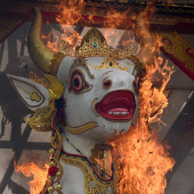 A sarcophagus is burned during the cremation ritual and ceremony of the late King Ida Cokorda Pemecutan XI of Bali, whose real name was Anak Agung Ngurah Manik Parasara, in Denpasar on Indonesia's island of Bali on January 21, 2022, following his death in December at the age of 76. (Photo by Sonny Tumbelaka/AFP Photo)