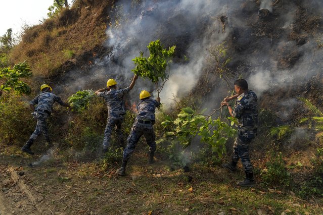 Police officers douse a forest fire in Shivapuri National Park on the outskirts of of in Lalitpur, Nepal, Tuesday, April 30, 2024. According to Lalitpur District Police a person passed away after sustaining injuries while attempting to put out the fire. (Photo by Niranjan Shrestha/AP Photo)