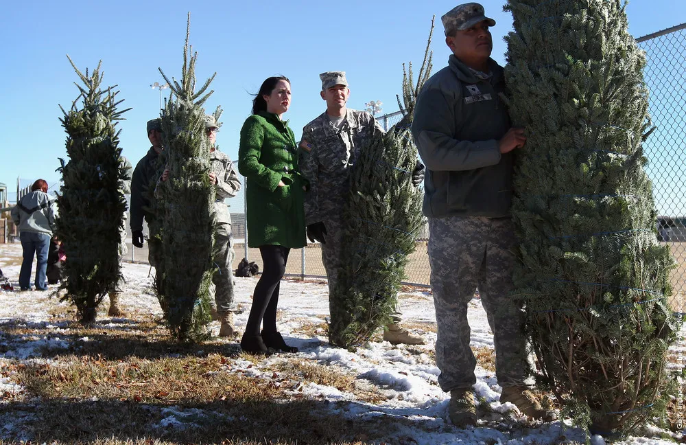 Military Families Receive Free Christmas Trees At Fort Carson