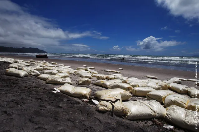 Bags of milk powder lie washed up at Waihi Beach on January 9, 2012 in Tauranga, New Zealand