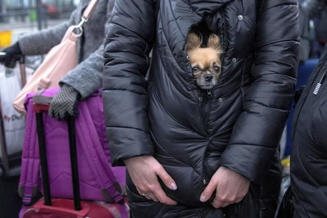 A refugee holds her dog as they queue for trains to Poland following the Russian invasion of Ukraine, at the train station in Lviv, Ukraine, March 7, 2022. (Photo by Marko Djurica/Reuters)