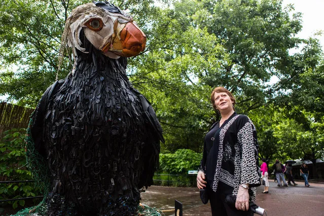 Lead artist Angela Haseltine Pozzi stands next to a puffin, one of seventeen giant statues, made from plastic waste recovered from the oceans. The exhibit is designed to educate visitors on the issue of human impact on the ocean. (Photo by Keith Lane/The Washington Post)