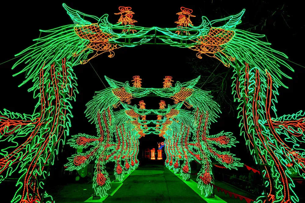 China Light Festival at Cologne Zoo