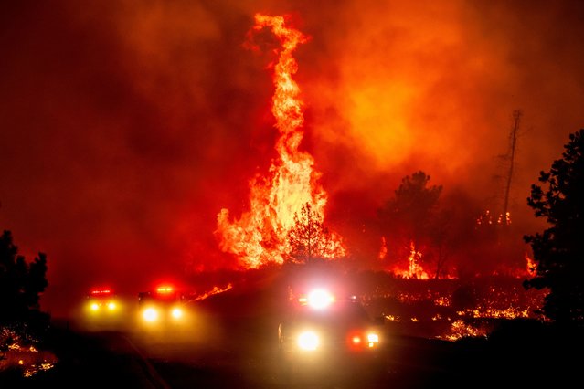 Flames leap above fire vehicles as the Park Fire jumps Highway 36 near Paynes Creek in Tehama County, Calif., Friday, July 26, 2024. (Photo by Noah Berger/AP Photo)