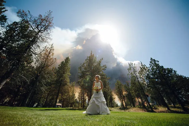 Wedding photographer, Josh Newton, has managed to turn a natural disaster into an amazing photo shoot opportunity. On June 7, 2014 Michael Wolber and April Hartley were getting ready to walk down the aisle in Rock Springs Ranch, Bend, Oregon, USA when firefighters alerted them to nearby wildfires gaining momentum and instructed them to flee to a safer location. (Photo by Josh Newton/IMP)