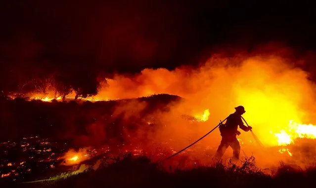 Santa Barbara County Firefighter Chris Hansen douses the western edge of a vegetation fire early Friday morning on UC Santa Barbara's Coal Oil Point Reserve, on June 27, 2014. The 10-15 acre brush fire began Thursday night and the cause is under investigation.  There were no structures damaged. (Photo by Mike Eliason/Santa Barbara County Fire Department)