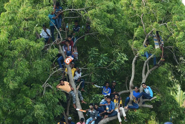 Sri Lankan cricket fans watch the first One Day International (ODI) cricket match between Sri Lanka and Indian from atop a tree at the Rangiri Dambulla International Cricket Stadium in Dambulla on August 20, 2017. (Photo by Lakruwan Wanniarachchi/AFP Photo)