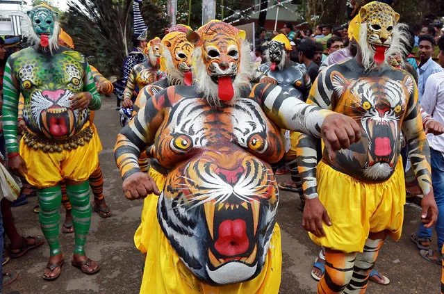 Performers painted to look like tigers dance during festivities marking the start of the annual harvest festival of Onam in Kochi, India August 25, 2017. (Photo by Sivaram V/Reuters)