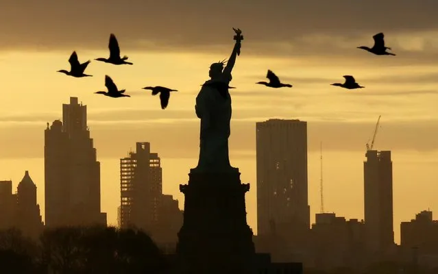 Geese fly past the Statue of Liberty as the sun rises in New York City on May 24, 2020 as seen from Jersey City, New Jersey. (Photo by Gary Hershorn/Getty Images)