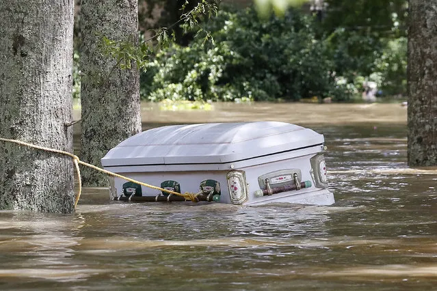 A casket is seen floating in flood waters in Ascension Parish, Louisiana, U.S., August 15, 2016. (Photo by Jonathan Bachman/Reuters)