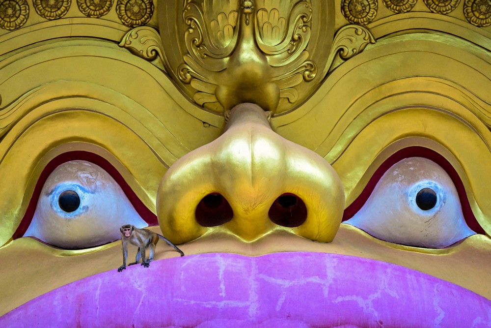 A Look at Life in Sri Lanka