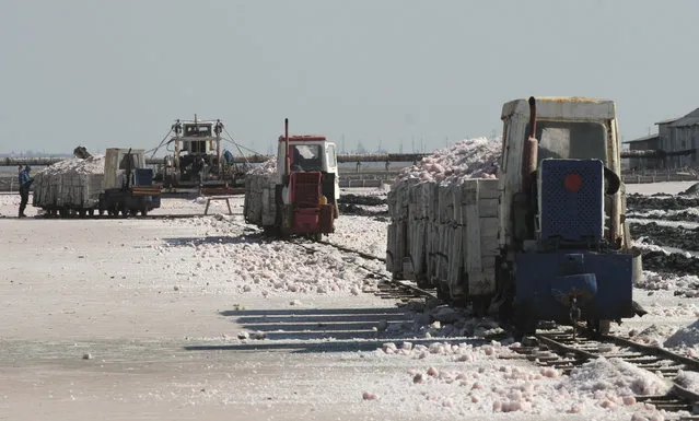 Trains carry sea salt at a salt production facility at the Sasyk-Sivash lake near the city of Yevpatoria in Crimea, October 5, 2014. (Photo by Pavel Rebrov/Reuters)